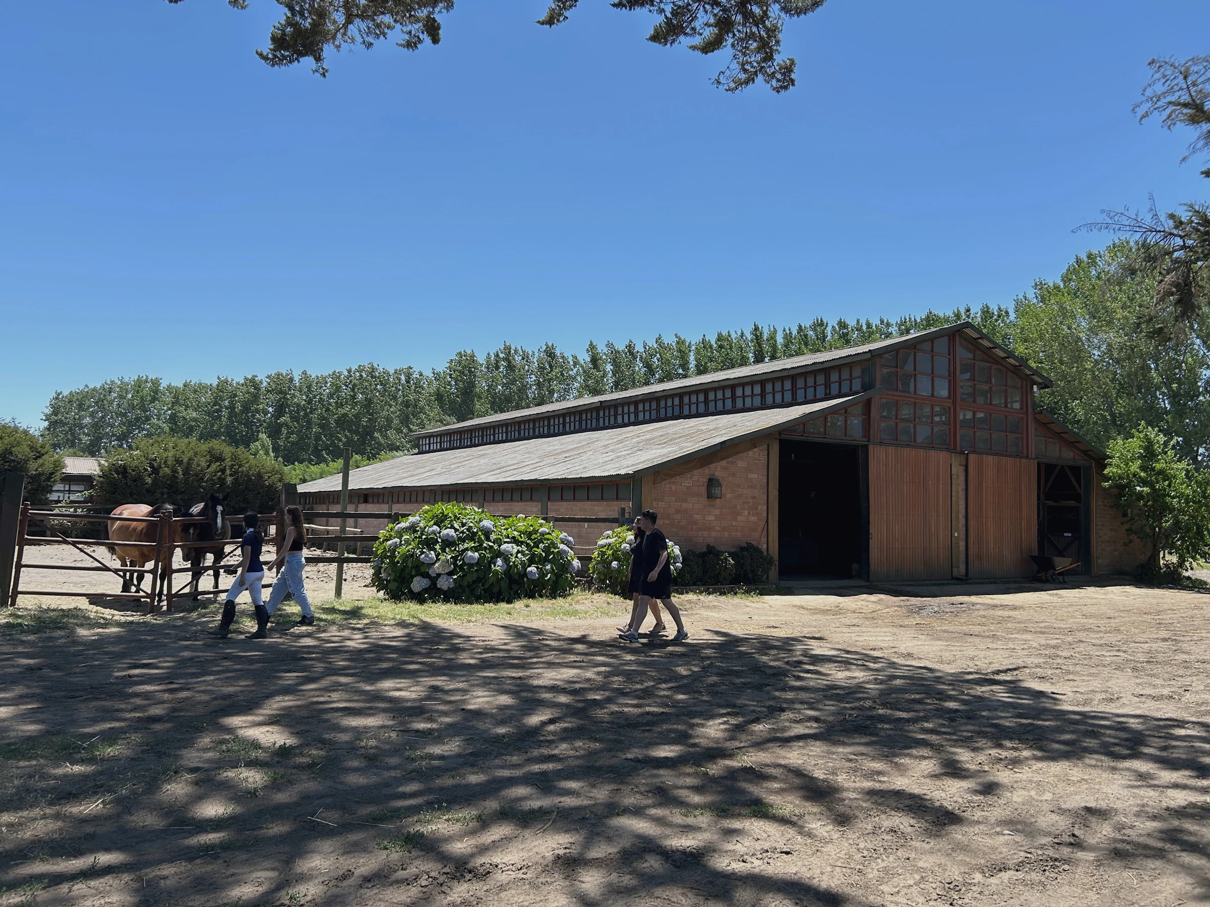 Spa Las Haras Santa Amelia, km 23 Ruta 180, Negrete